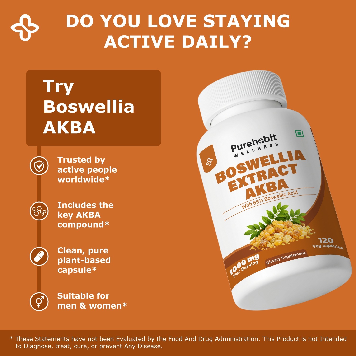 Boswellia Extract AKBA - Image 2